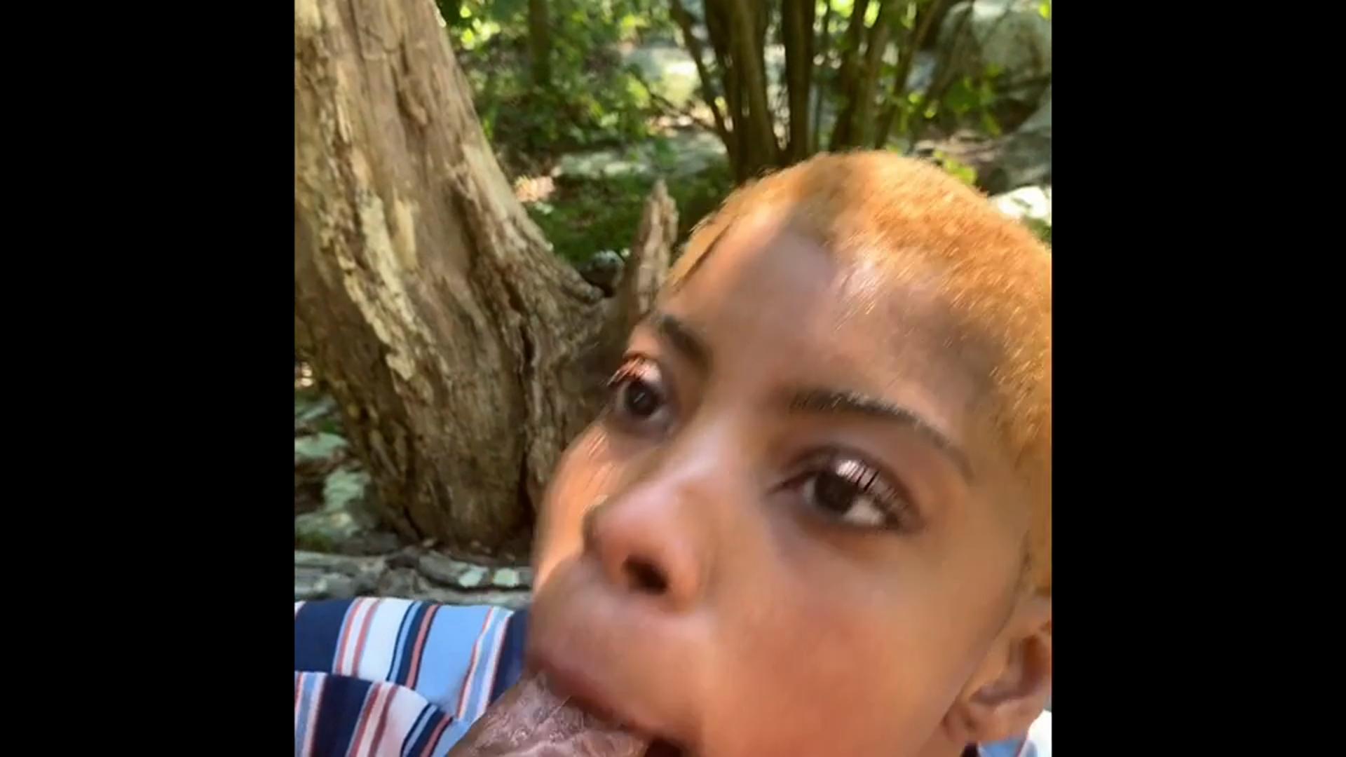 Picnic Throat in the Mountains